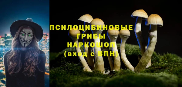 сатива Армянск