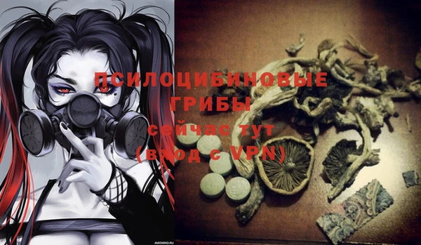 прущий лед Аркадак