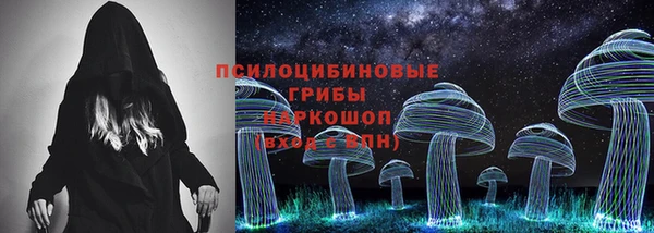 прущий лед Аркадак