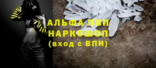 сатива Армянск