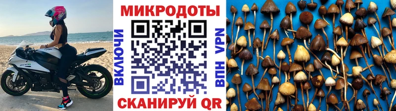 Псилоцибиновые грибы мицелий  Купить закладки  Каргат 